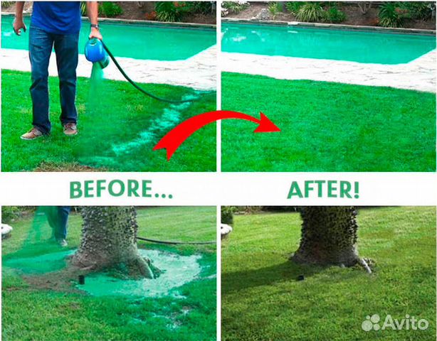 Hydro Mousse grass seed reviews