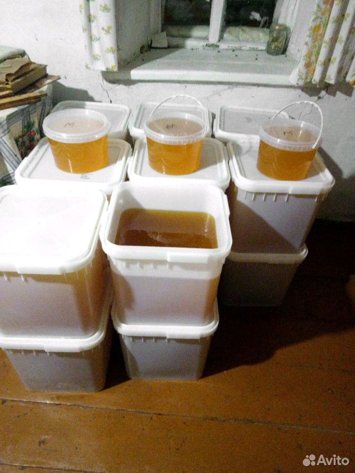 Продам мед из Тамбовской области купить на Зозу.ру - фотография № 1