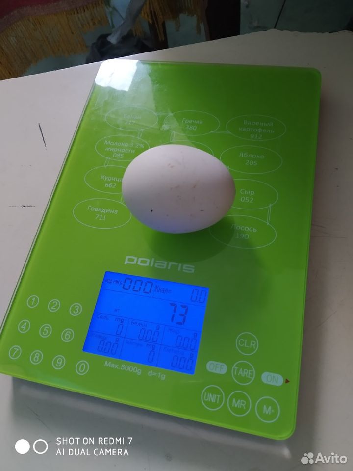 Инкубационное яйцо кур барбезье купить на Зозу.ру - фотография № 4