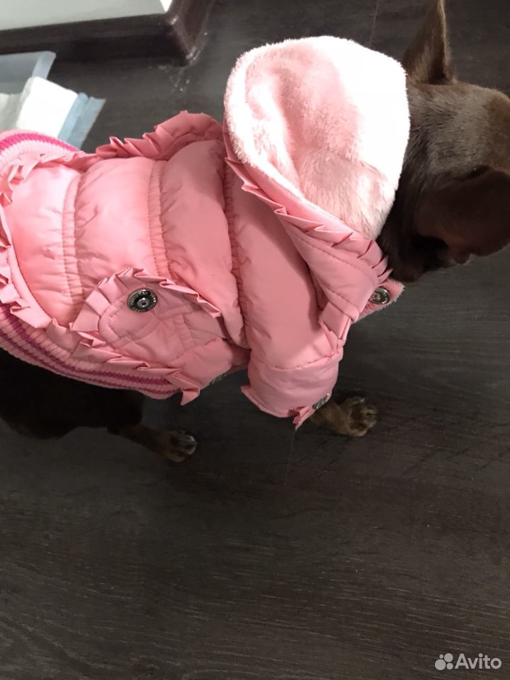 Курточка зимняя для собак купить на Зозу.ру - фотография № 1