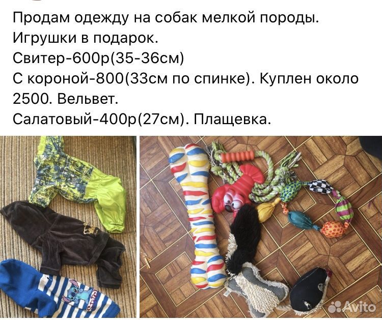 Одежда для животных купить на Зозу.ру - фотография № 1