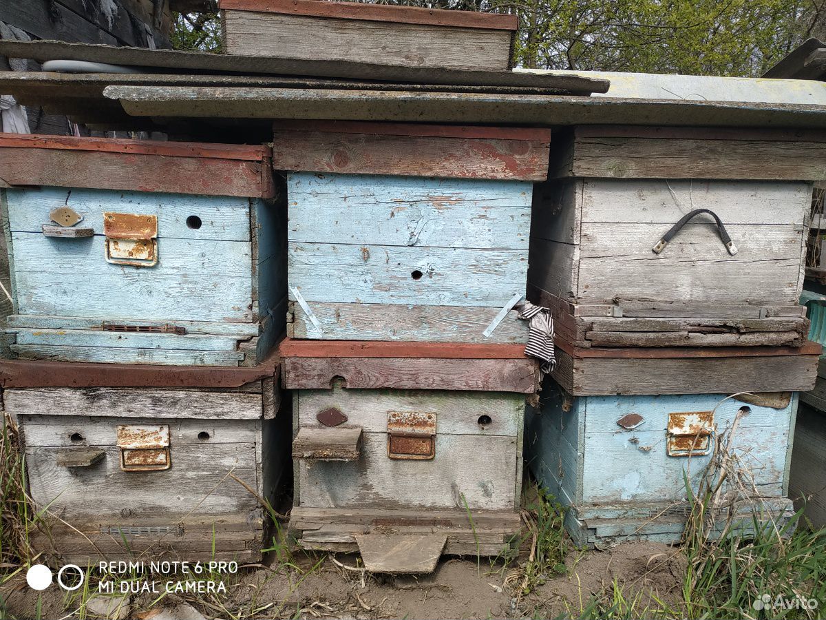 Товары для пчеловодства купить на Зозу.ру - фотография № 6