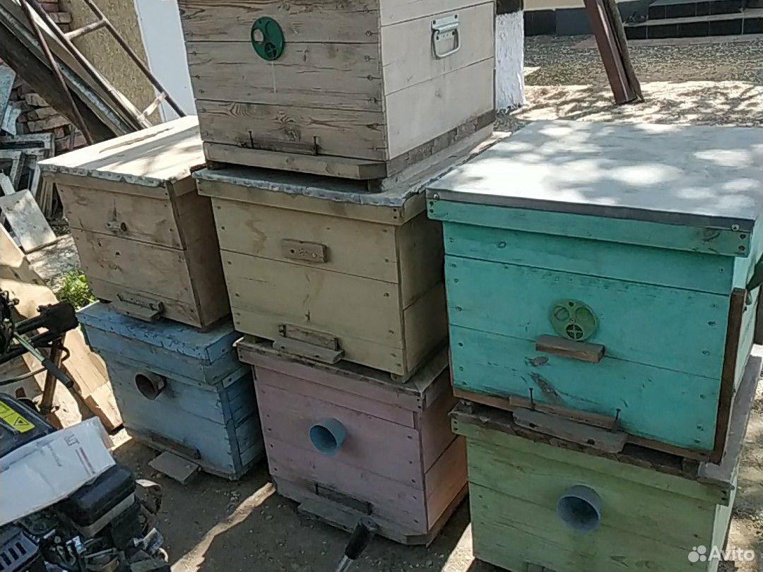 Ящики для пчёл купить на Зозу.ру - фотография № 2