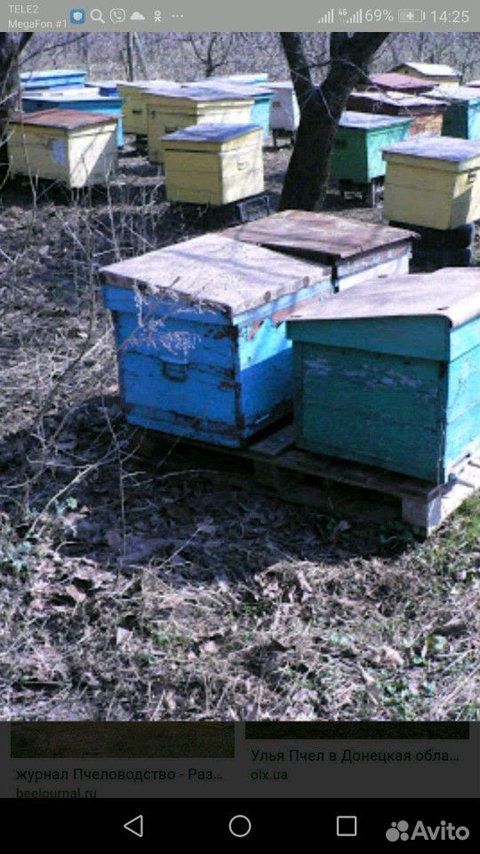 Все для пчел купить на Зозу.ру - фотография № 1