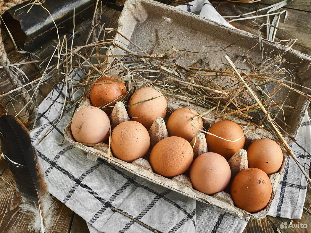Вкуснейшие домашние яйца купить на Зозу.ру - фотография № 1