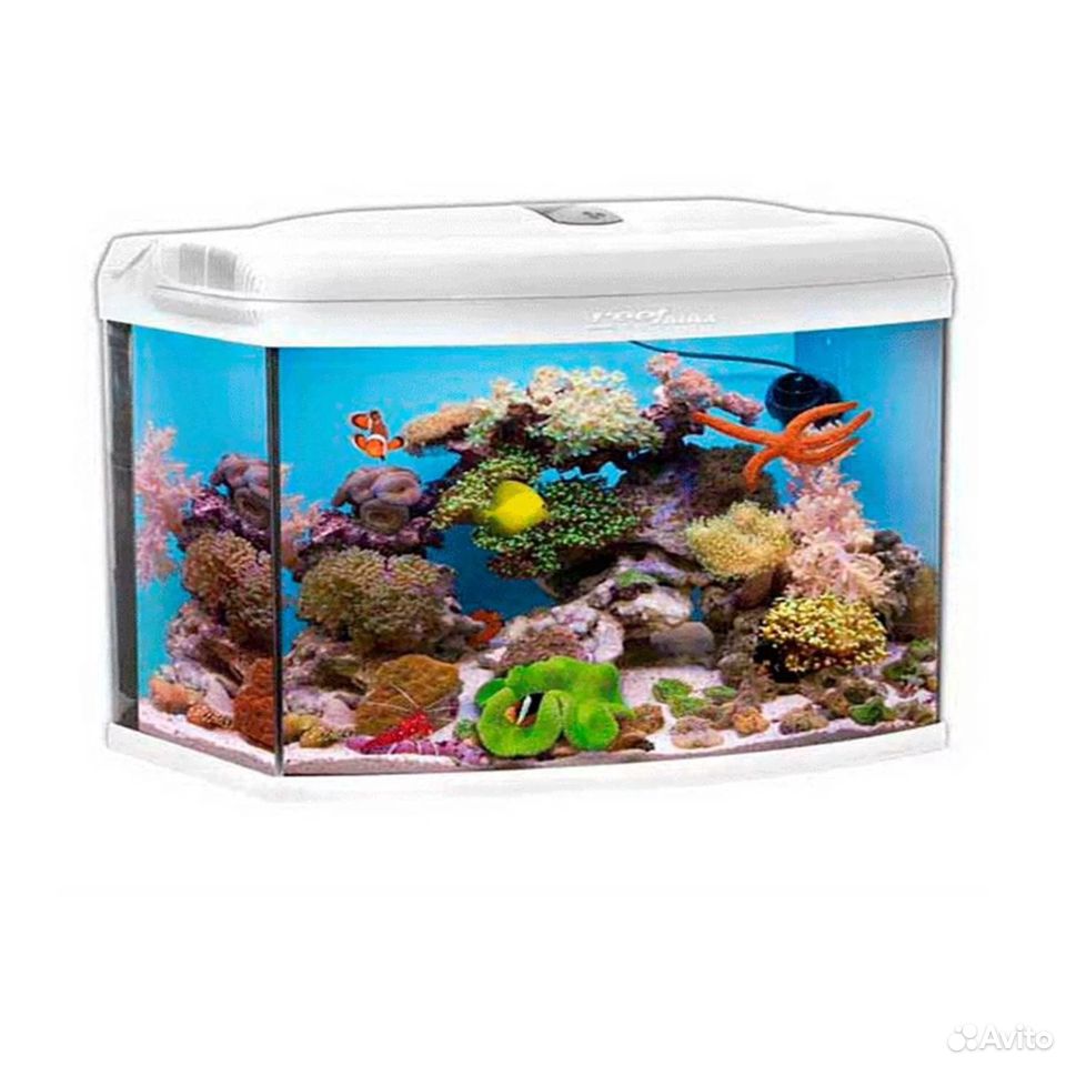 Aquael Reefmax - морской аквариум купить на Зозу.ру - фотография № 1