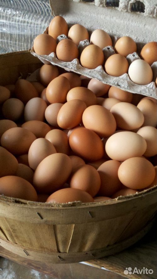 Яйца куриные, перепелиные купить на Зозу.ру - фотография № 2