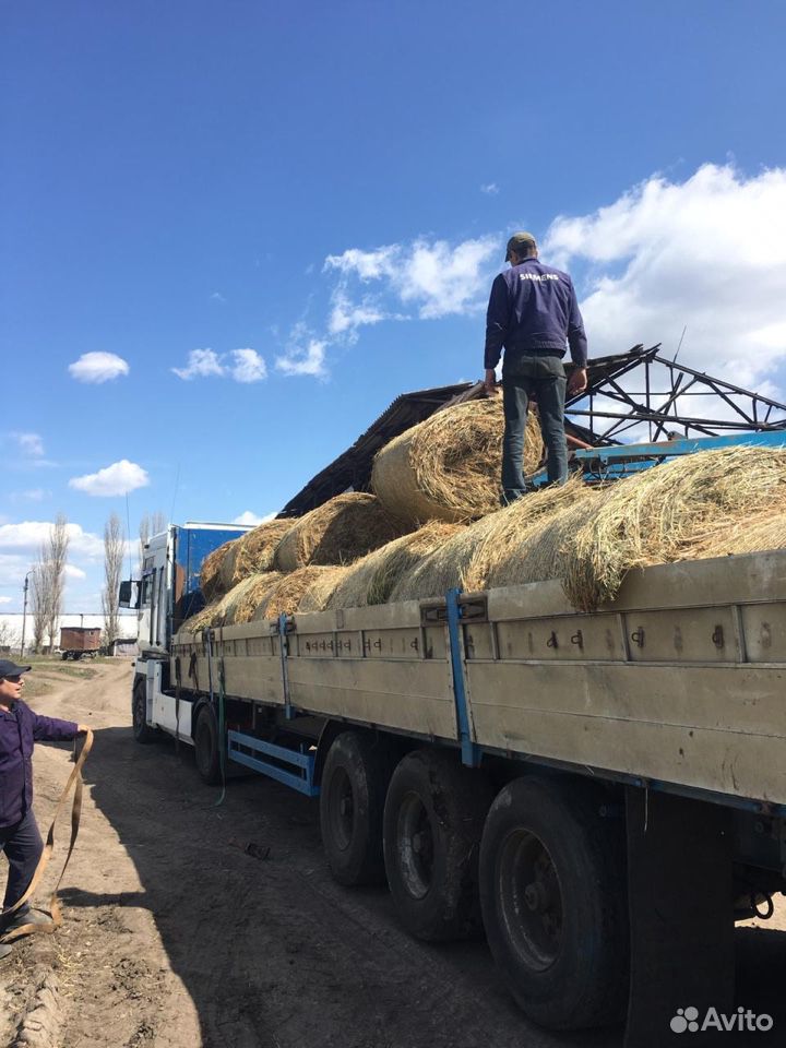 Продам сено урожай 2019 купить на Зозу.ру - фотография № 2