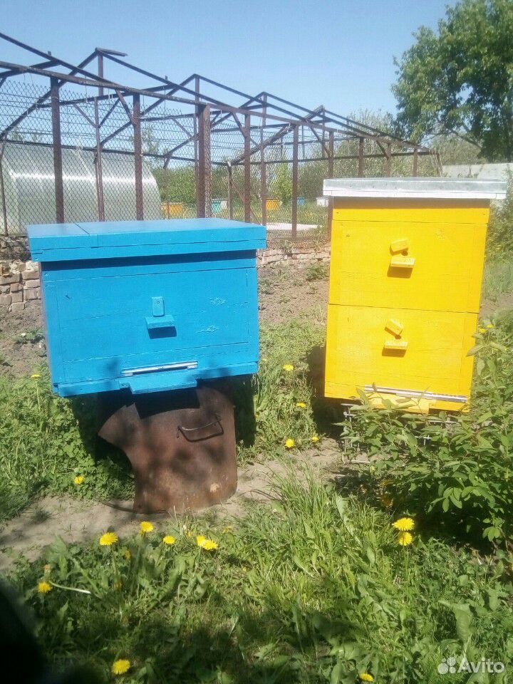 Улья пчелинные купить на Зозу.ру - фотография № 2