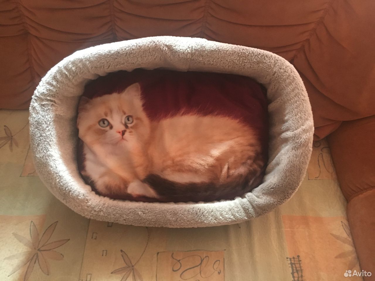 Продаю кроватку для кота, новая купить на Зозу.ру - фотография № 3
