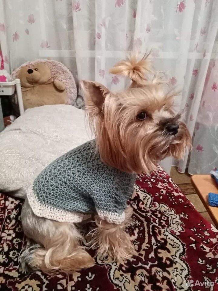 Одежда для собак свитер купить на Зозу.ру - фотография № 1