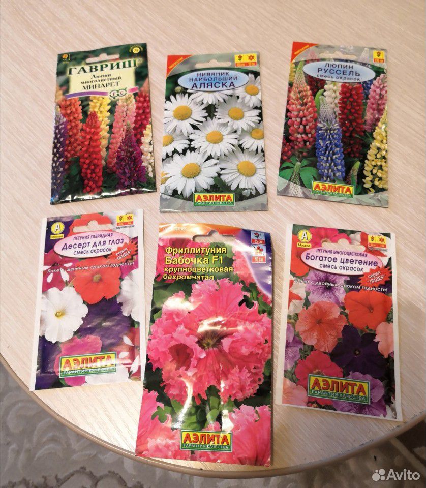 Семена цветов купить на Зозу.ру - фотография № 1
