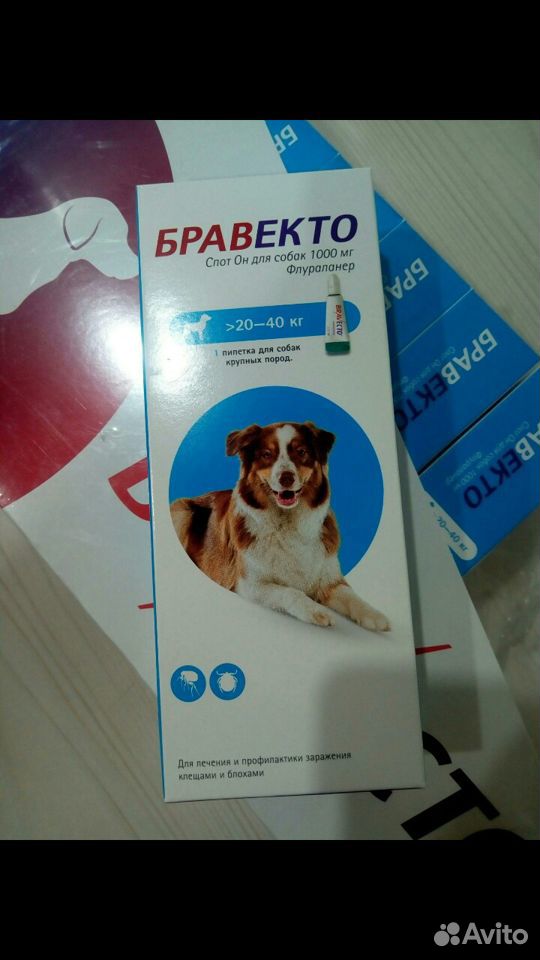 Бравекто для собак от 20 кг (срок до августа 20 г купить на Зозу.ру - фотография № 1