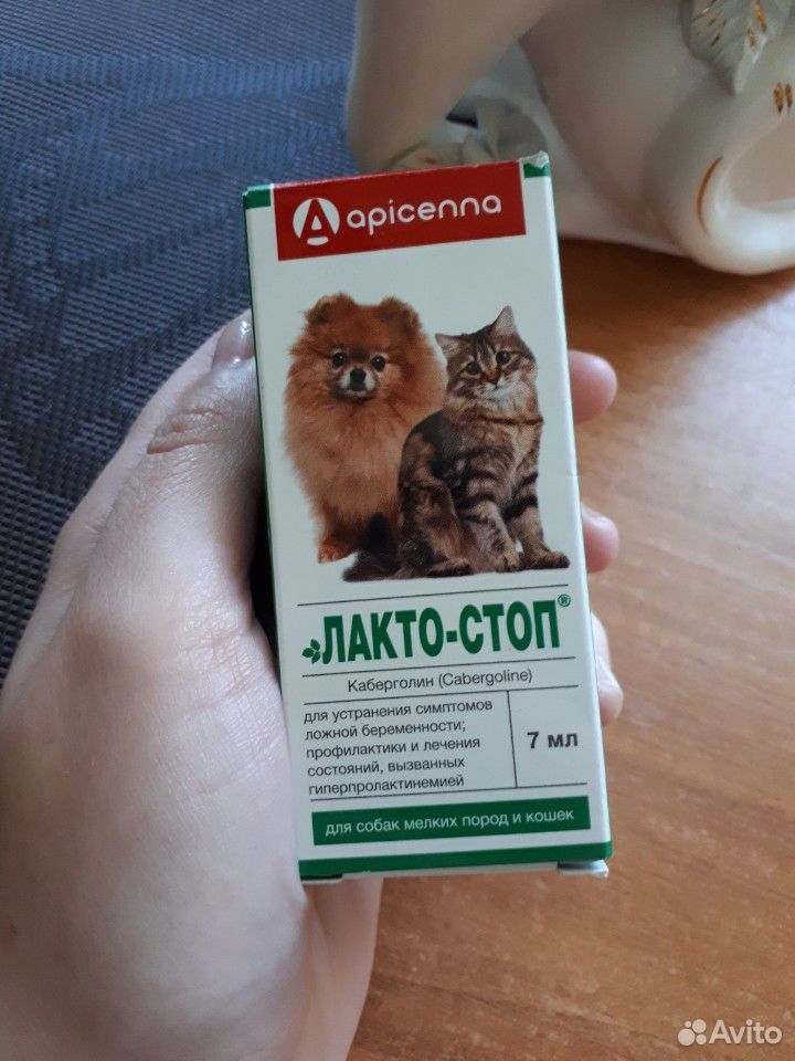 Лактостоп Для Кошек Цена