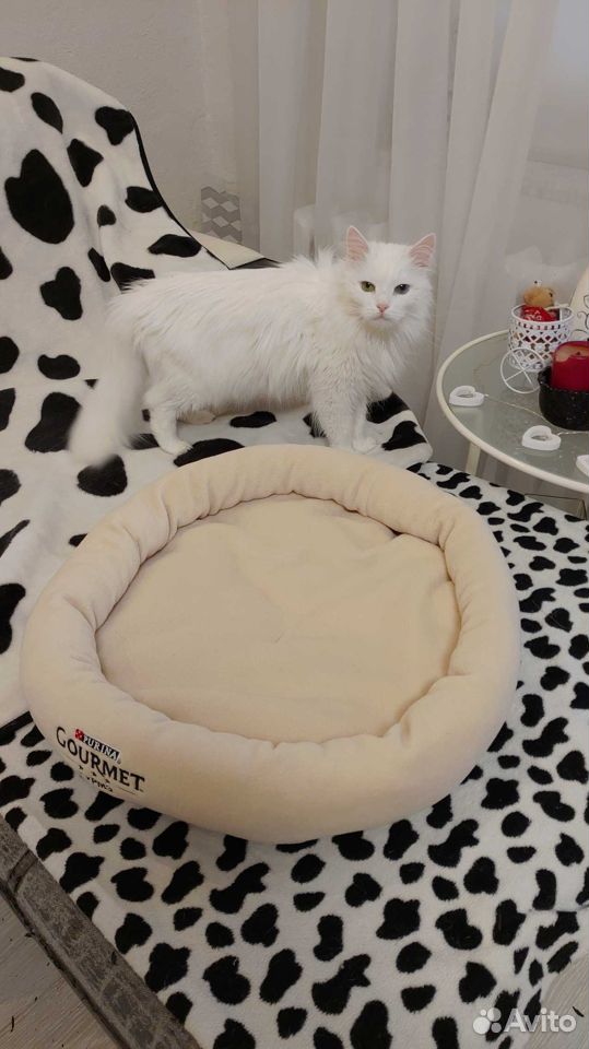 Лежанка для кошек и мал собак purina gourmet нов купить на Зозу.ру - фотография № 9