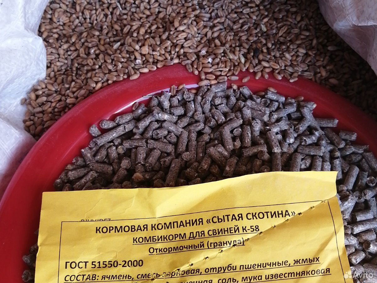 Зерно сено комбикорм купить на Зозу.ру - фотография № 1