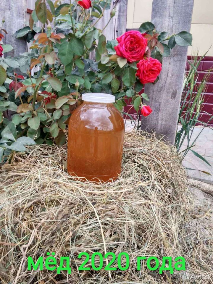 Свой мёд купить на Зозу.ру - фотография № 1