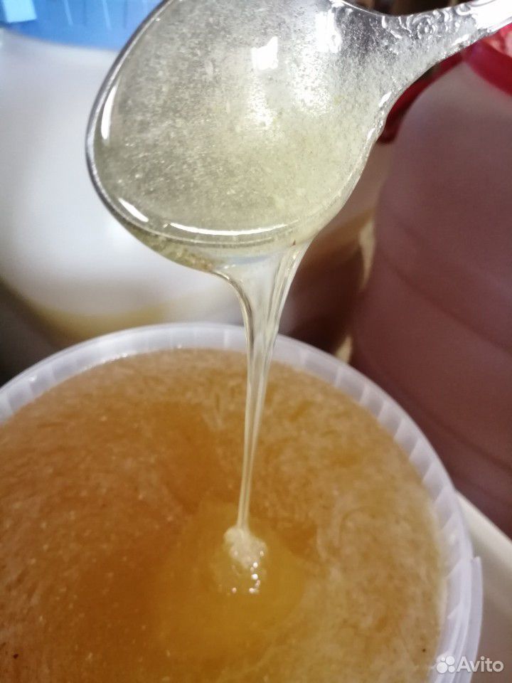 Мёд лесной с доставкой купить на Зозу.ру - фотография № 1