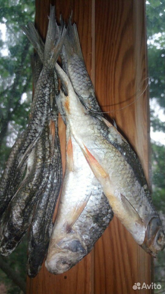Вяленая рыбка Плотва,салака,окунь купить на Зозу.ру - фотография № 5