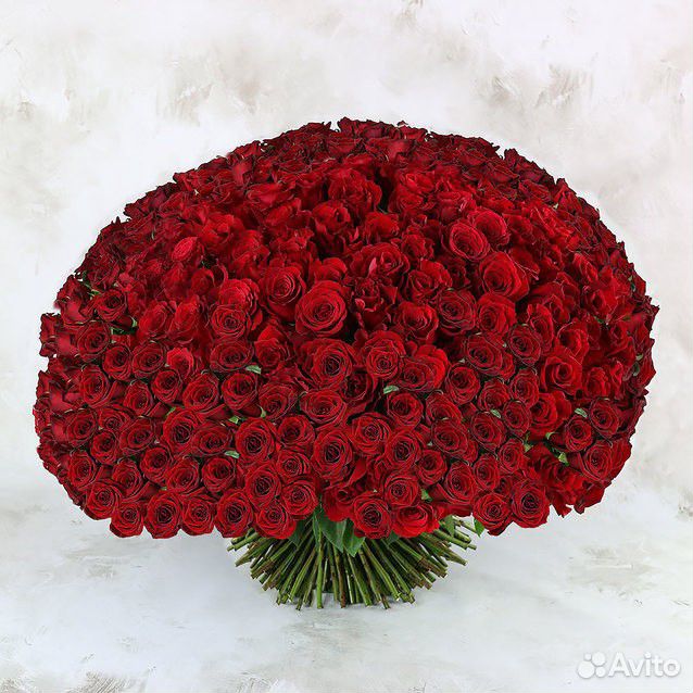Букет 301 красная роза, бесплатная доставка купить на Зозу.ру - фотография № 1