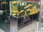 Изготовление аквариумов, любые изделия из стекла объявление продам