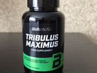 Бад Tribulus Maximus от Biotech Usa объявление продам