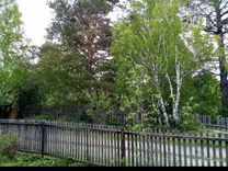 берёзки элитный коттеджный посёлок новосибирск. посёлок берёзки элитный новосибирск. тсн березки. Betula utilis jacquemontii. днп лесная поляна можайский район.