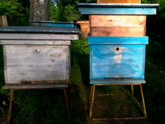 Продам пчелинные улья (б/у)