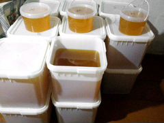 Продам мед из Тамбовской области