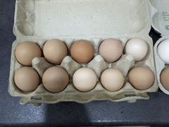 Инкубационное Яйцо