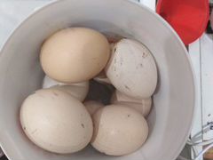 Инкубационное яйцо кур несушек пушкинской породы