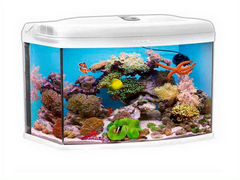 Aquael Reefmax - морской аквариум