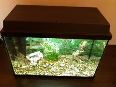 Немецкий аквариум "Juwel "70L. Рыбы+фильтр+декор+