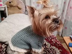 Одежда для собак свитер