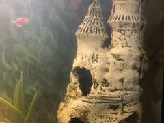 Замок в аквариум