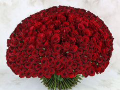 Букет 301 красная роза, бесплатная доставка