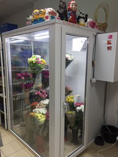 Холодильная Камера для цветов