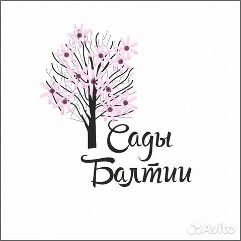 Vakansiya Raznorabochij V Kaliningrade Rabota Avito