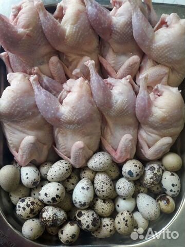 Мясо перепелов