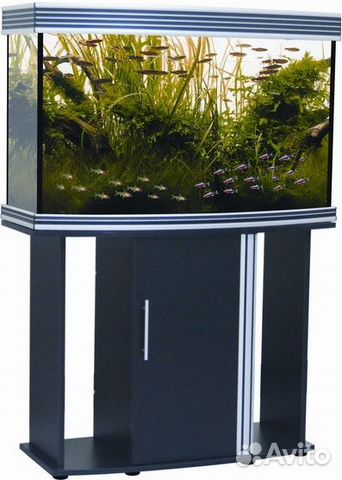 Аквариум "anubias" 210л B-1000H+ 1000*420*650мм