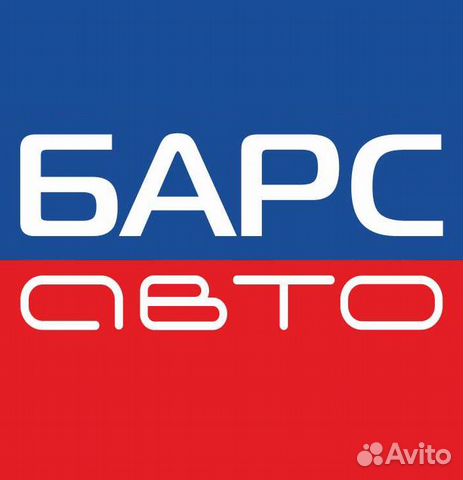 Барс авто орел