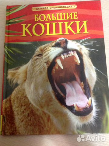 Детская энциклопедия Детская энциклопедия