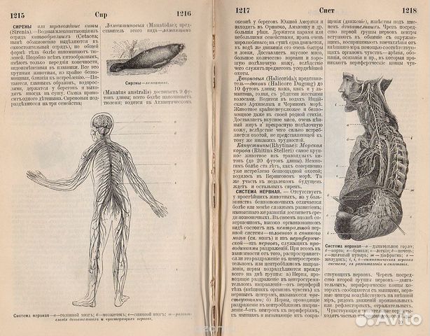 Словарь общеполезных сведений 1898год