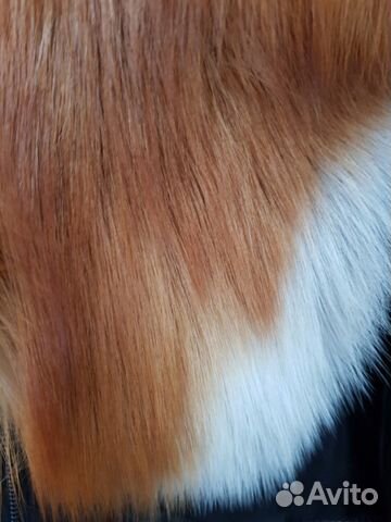 Продаю теплый кожаный пуховик (новый) Продаю теплый кожаный пуховик (новый)