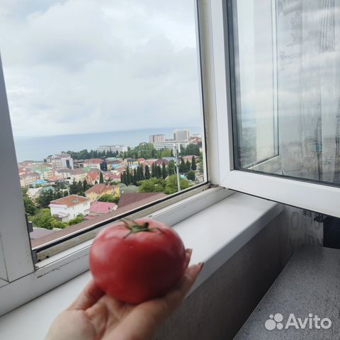 

1-к. квартира, 36 м², 4 кровати