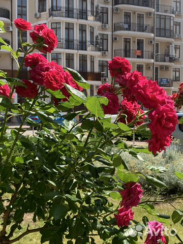 

1-к. квартира, 50 м², 2 кровати