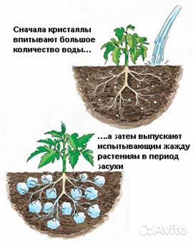 Гидрогель Аквагрунт для растений Aquasorb Гидрогель Аквагрунт для растений Aquasorb