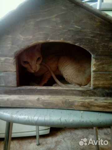 Дом для кошки или маленькой собачки из дерева разм купить на Зозу.ру - фотография № 1