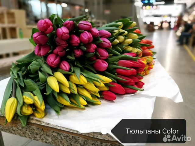 Тюльпаны оптом Тюльпаны оптом