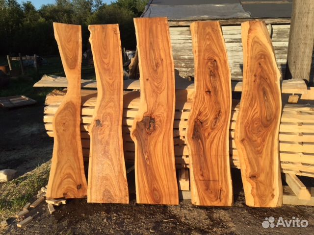 Слэб дерева Карагач и другие